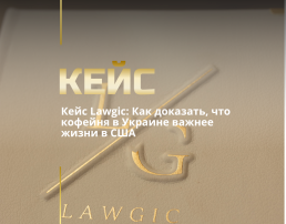 Гостевая виза в США